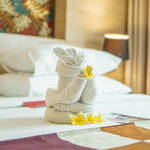 Towel folding